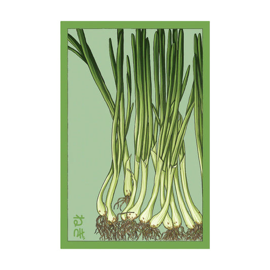 Scallions- Seeds,