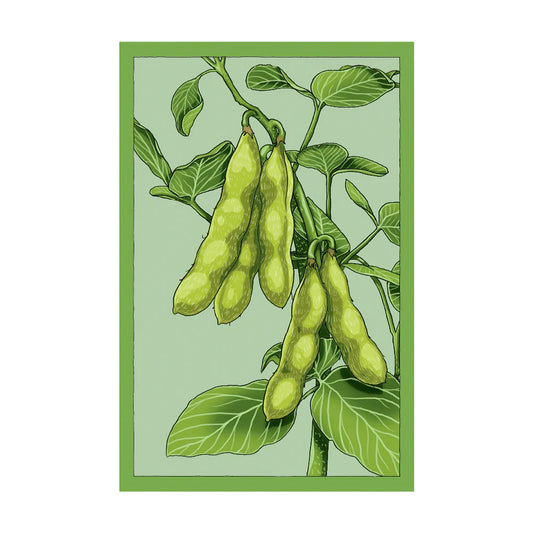 Edamame - Seeds,