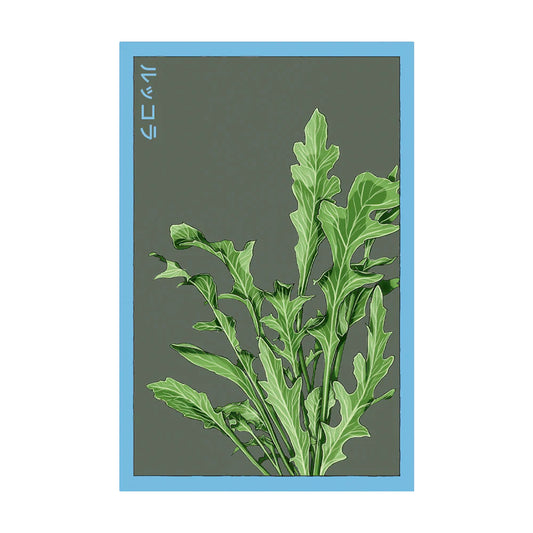 Arugula - Seeds,