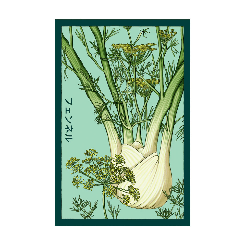 Fennel - Seeds,