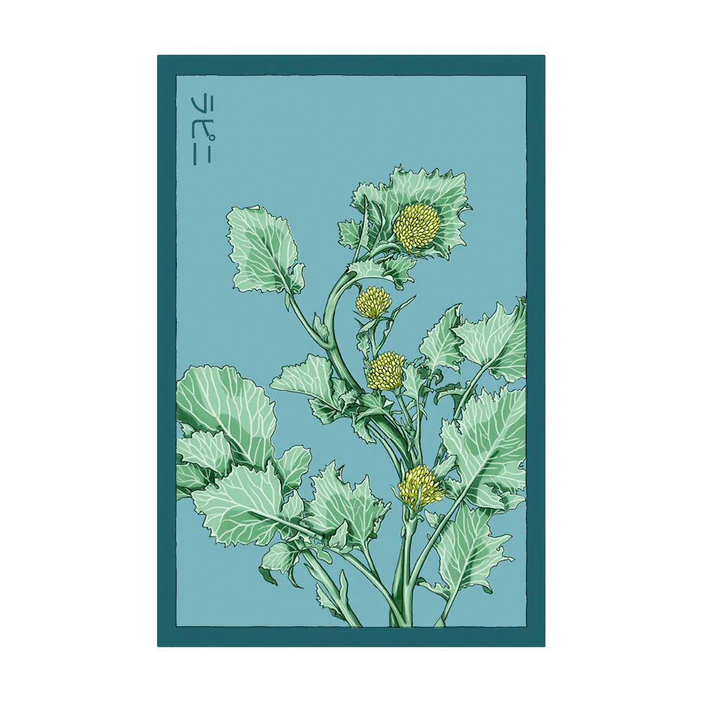 Broccoli Rabe Seeds,