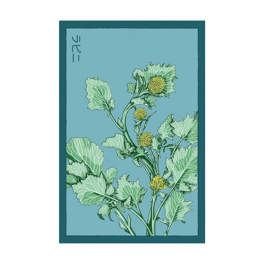 Broccoli Rabe Seeds,