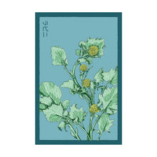 Load image into Gallery viewer, Broccoli Rabe- Seeds,
