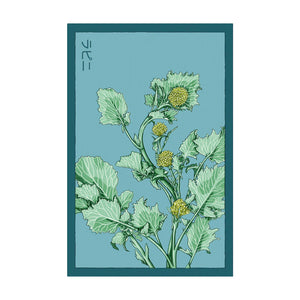 Broccoli Rabe- Seeds,