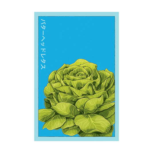 Butterhead Lettuce - Seeds,