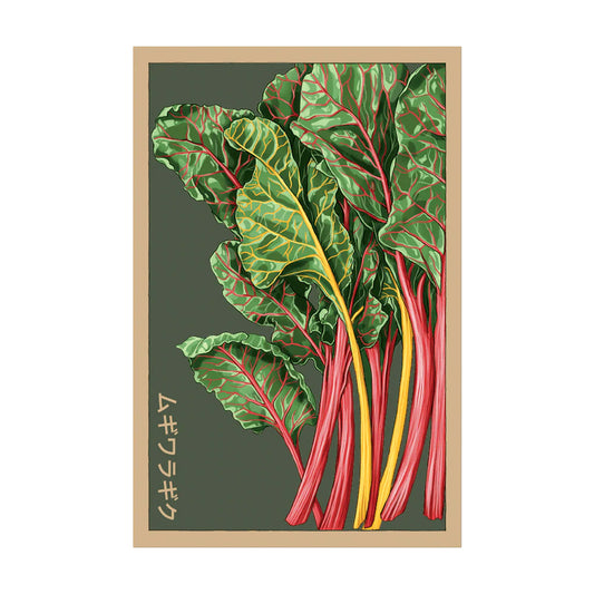 Rainbow Chard - Seeds,