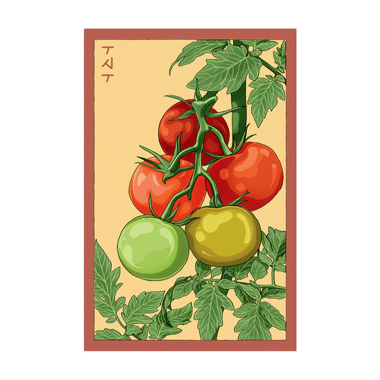 Beefsteak Tomato - Seeds,