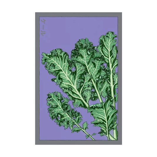 Kale  - Seeds,