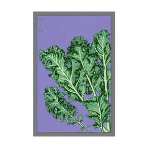 Kale  - Seeds,