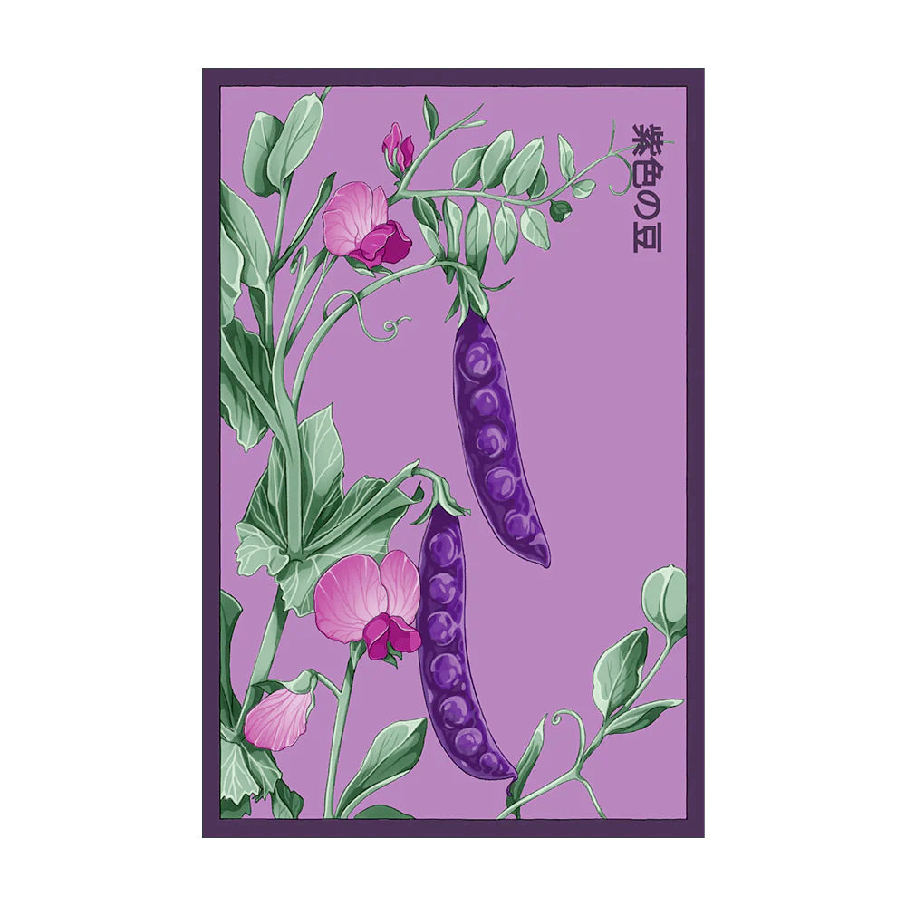 Purple Peas - Seeds,