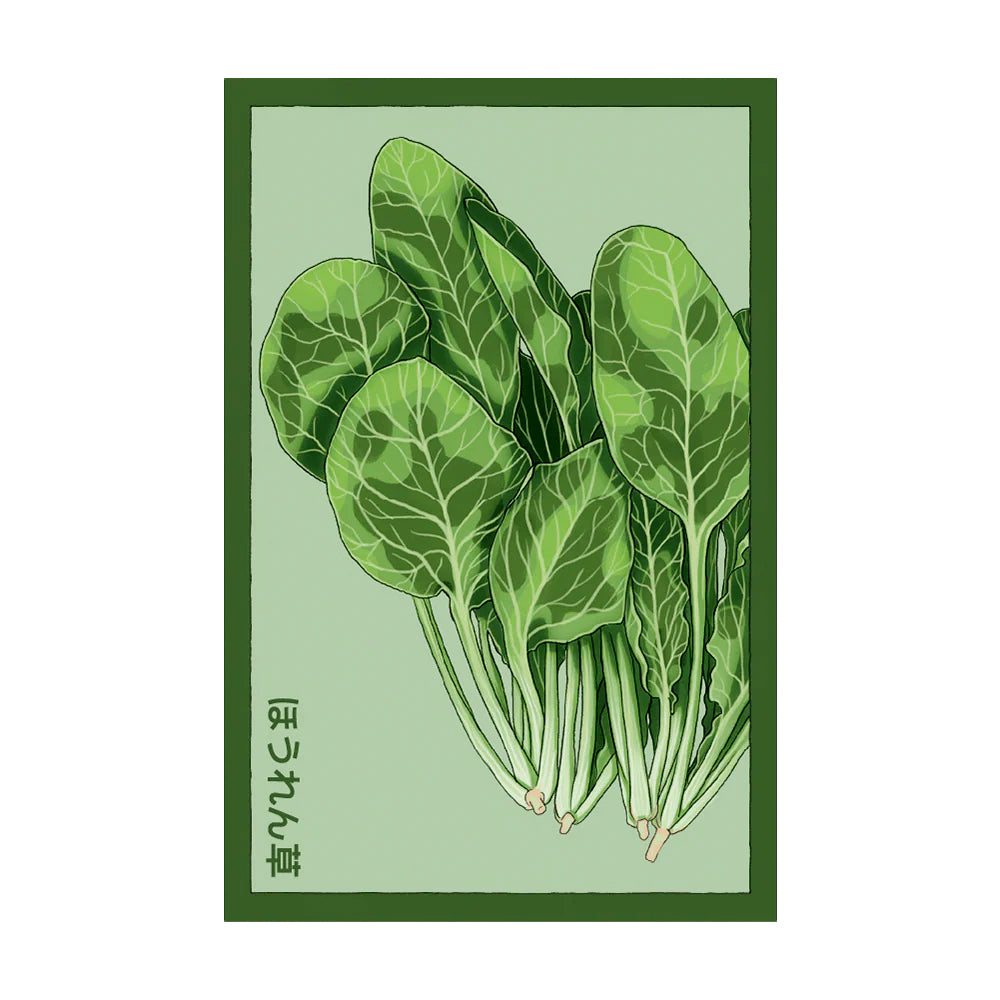 Spinach - Seeds,