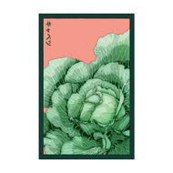 Cabbage - Seeds,
