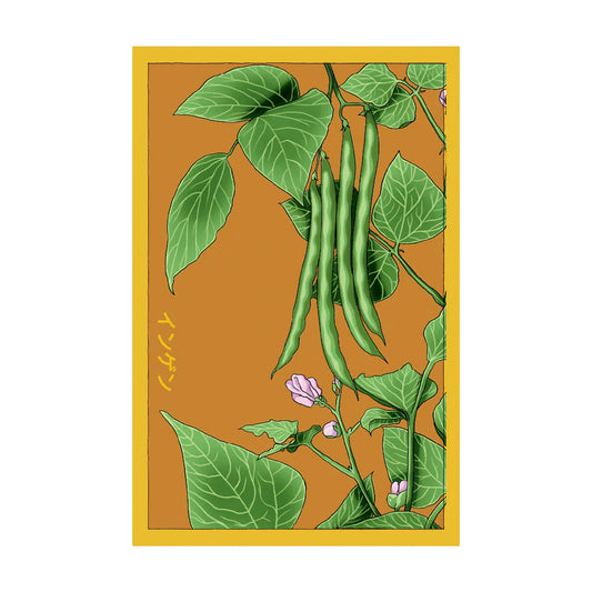 Green Beans - Seeds,