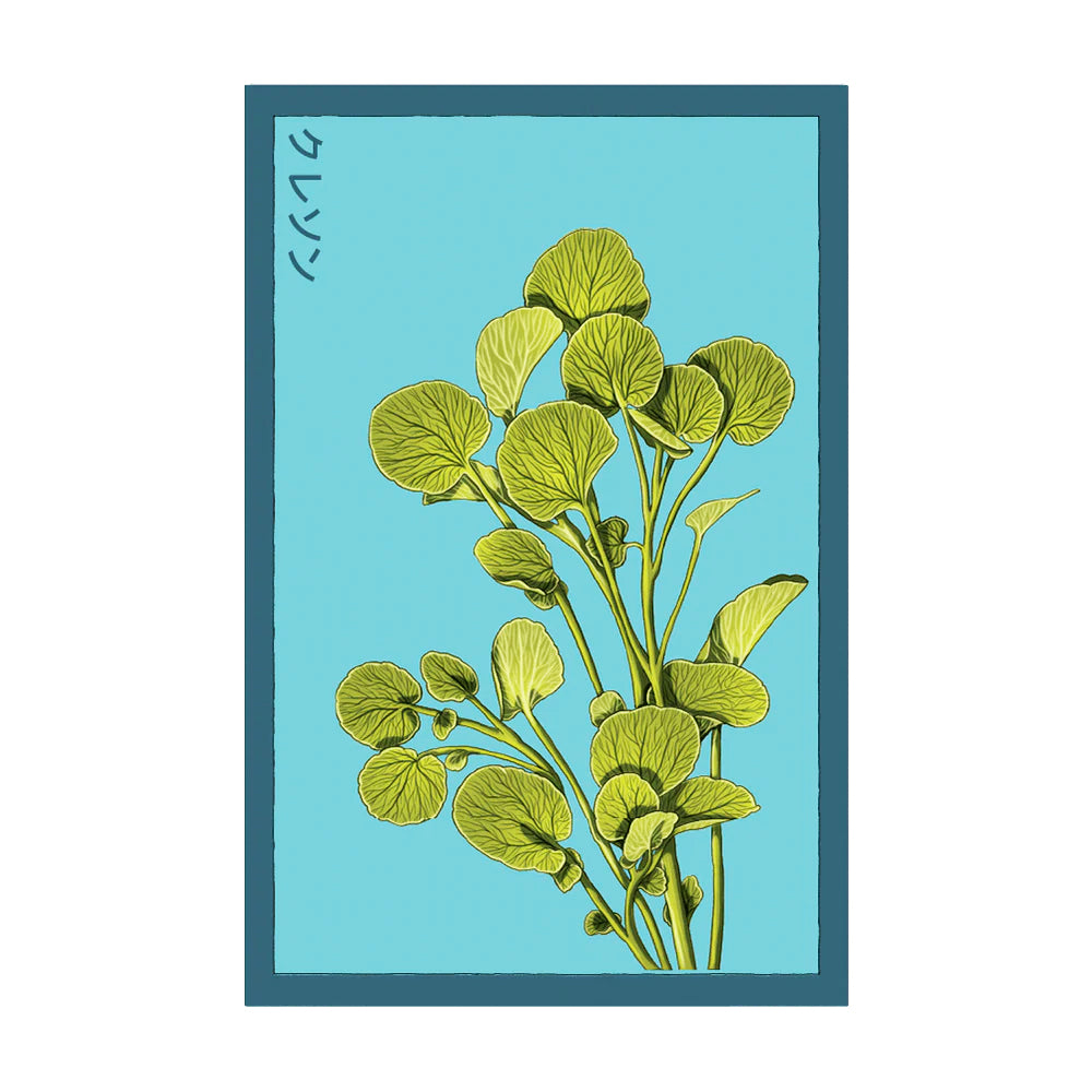 Watercress - Seeds,