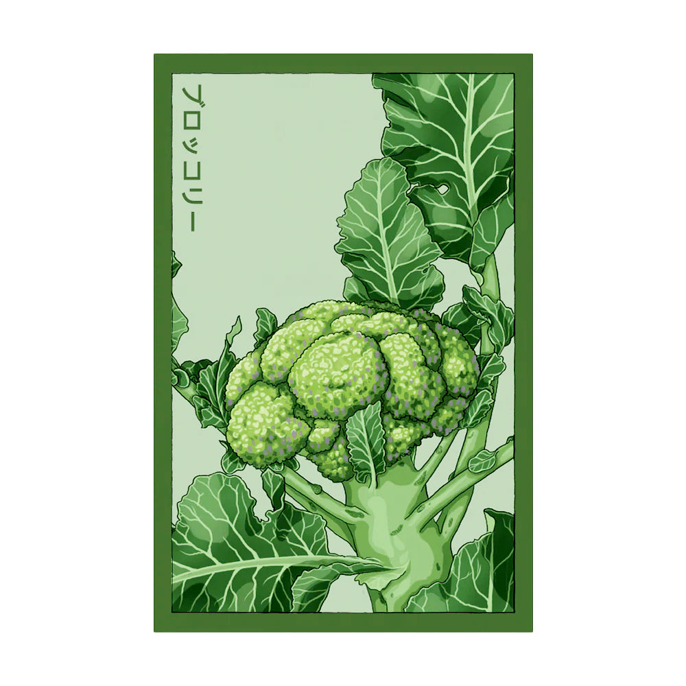 Broccoli - Seeds,