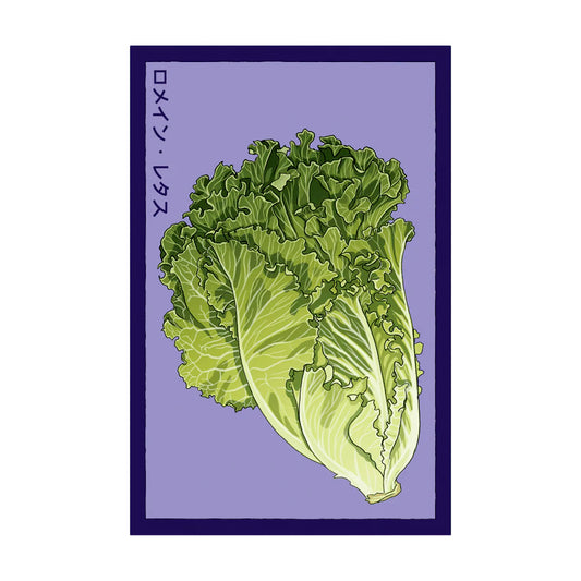 Romaine Lettuce- Seeds,