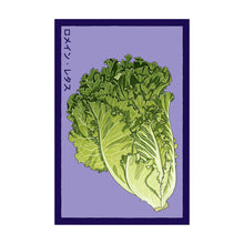 Load image into Gallery viewer, Romaine Lettuce- Seeds,
