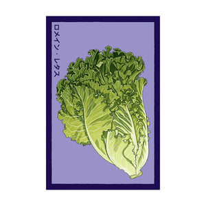 Romaine Lettuce- Seeds,