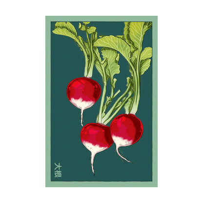 Radish - Seeds,