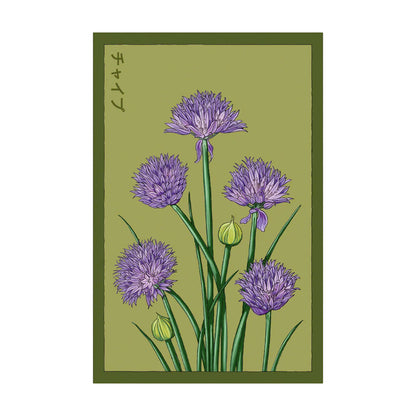 Chives - Seeds,