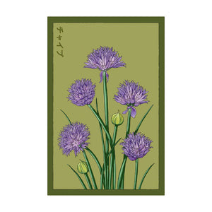 Chives - Seeds,
