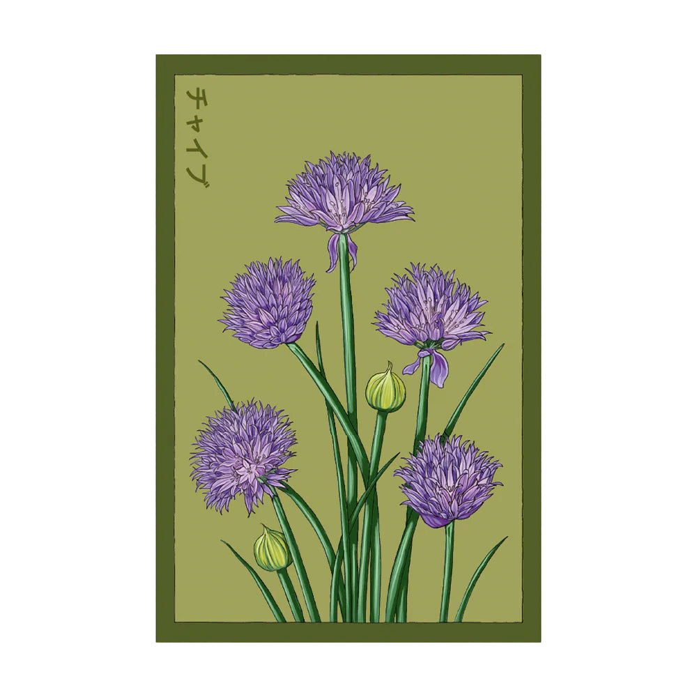 Chives - Seeds,