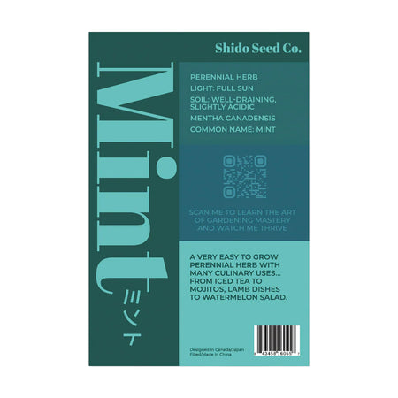 Mint - Seeds,