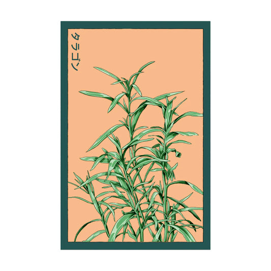 Tarragon - Seeds,