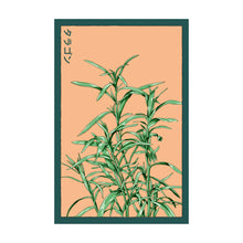 Load image into Gallery viewer, Tarragon - Seeds,
