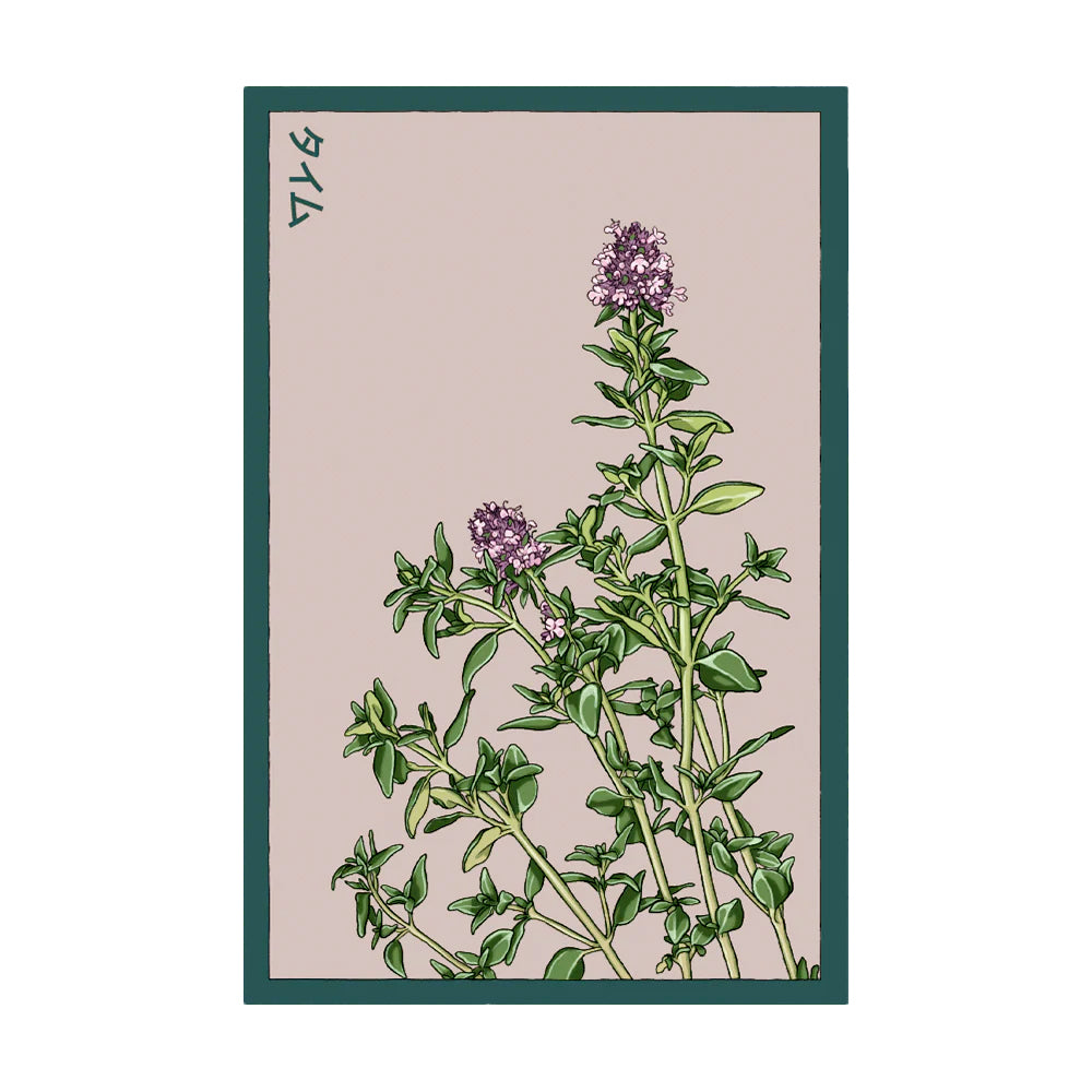 Thyme - Seeds,