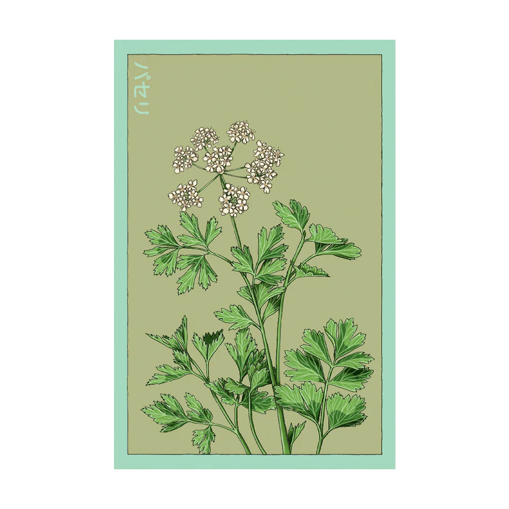 Parsley - Seeds,