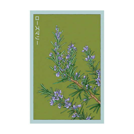 Rosemary - Seeds,
