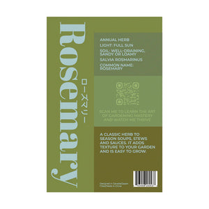 Rosemary - Seeds,
