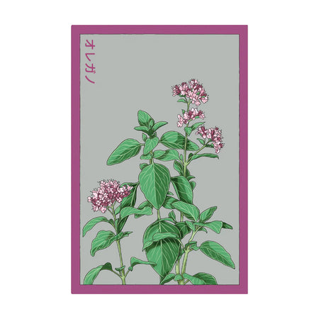 Oregano - Seeds,