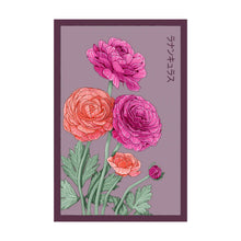 Load image into Gallery viewer, Ranunculus - Seeds,
