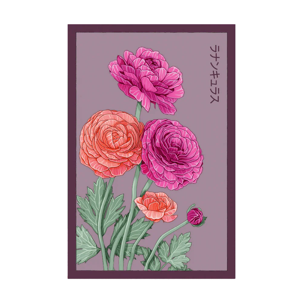 Ranunculus - Seeds,