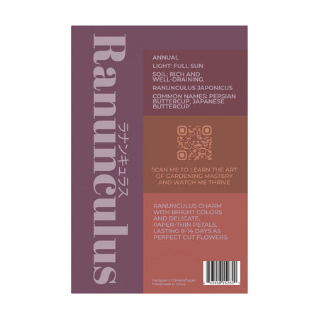 Ranunculus - Seeds,