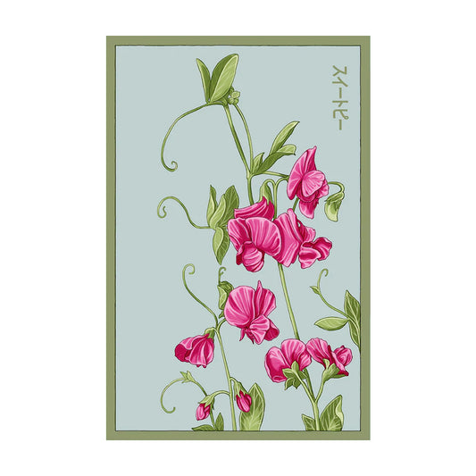Sweet Pea - Seeds,