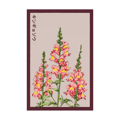 Snapdragon - Seeds,
