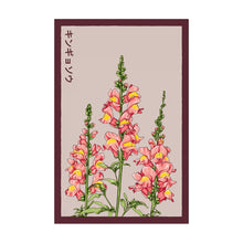 Load image into Gallery viewer, Snapdragon - Seeds,
