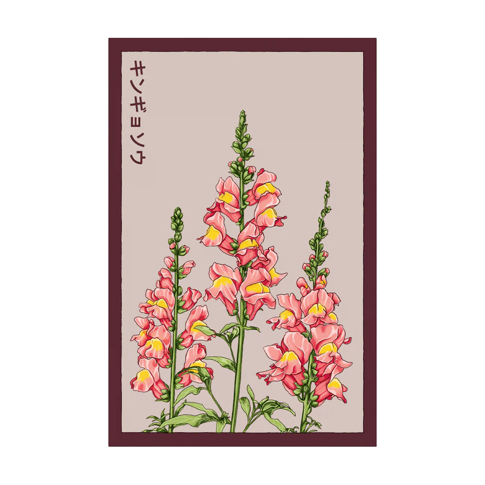 Snapdragon - Seeds,