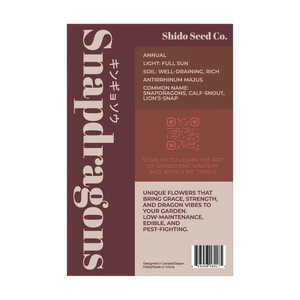 Snapdragon - Seeds,