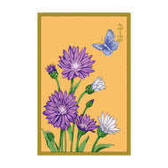 Immortelle - Seeds,