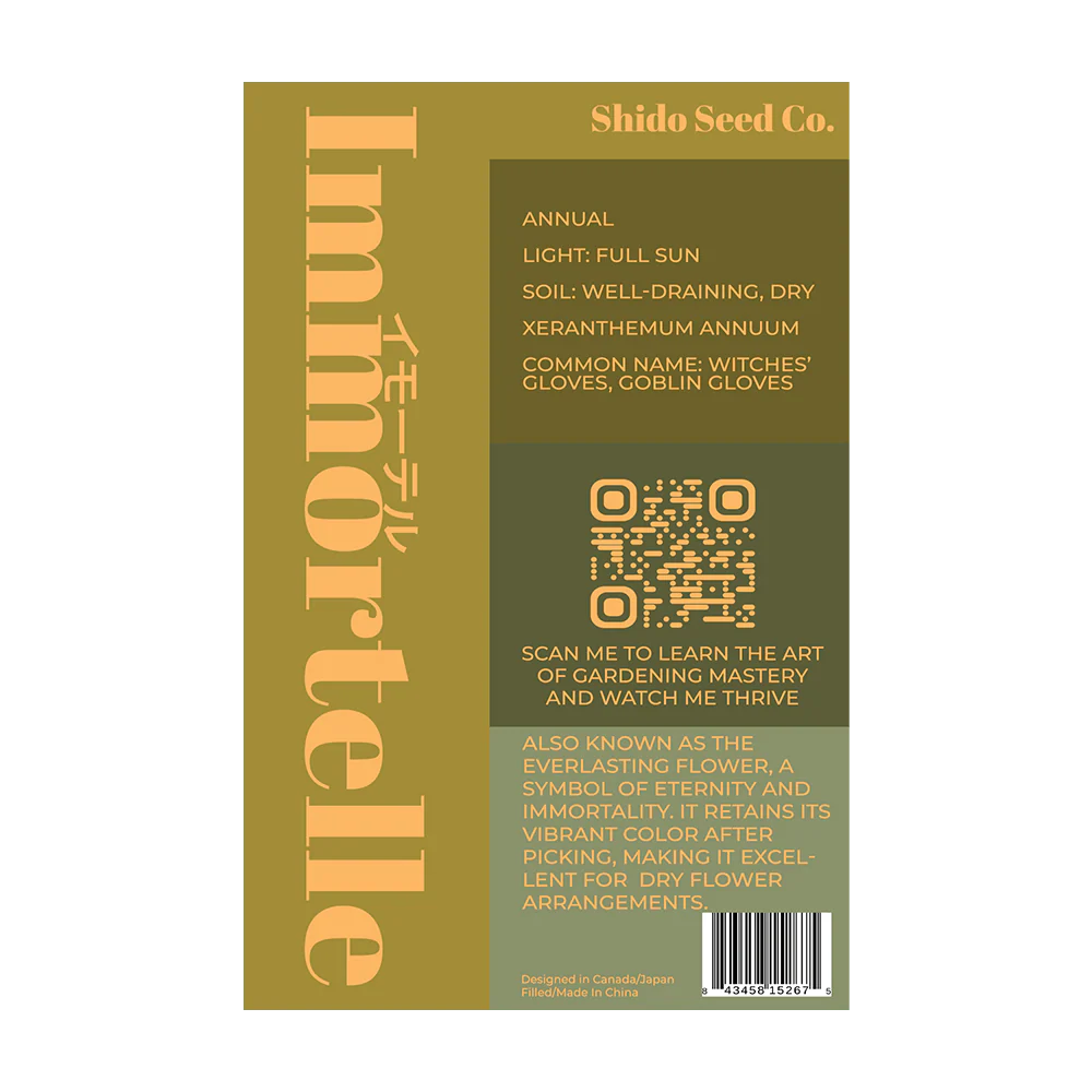 Immortelle - Seeds,