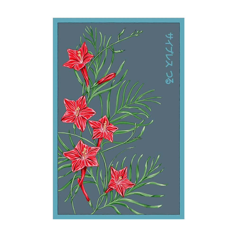 Cypress Vine - Seeds,