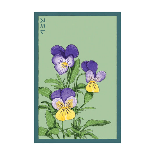Pansy - Seeds,