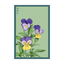 Load image into Gallery viewer, Pansy - Seeds,
