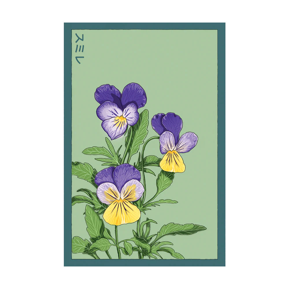 Pansy - Seeds,