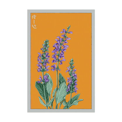 Blue Sage - Seeds,