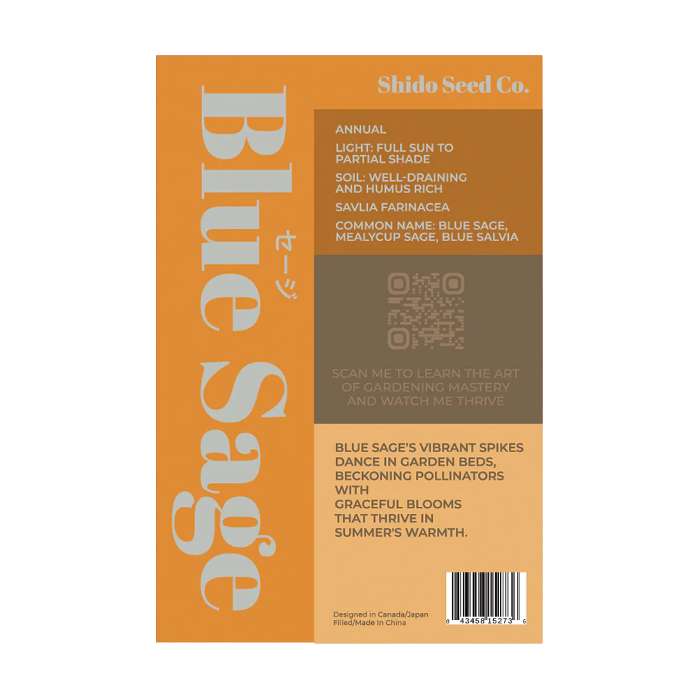 Blue Sage - Seeds,